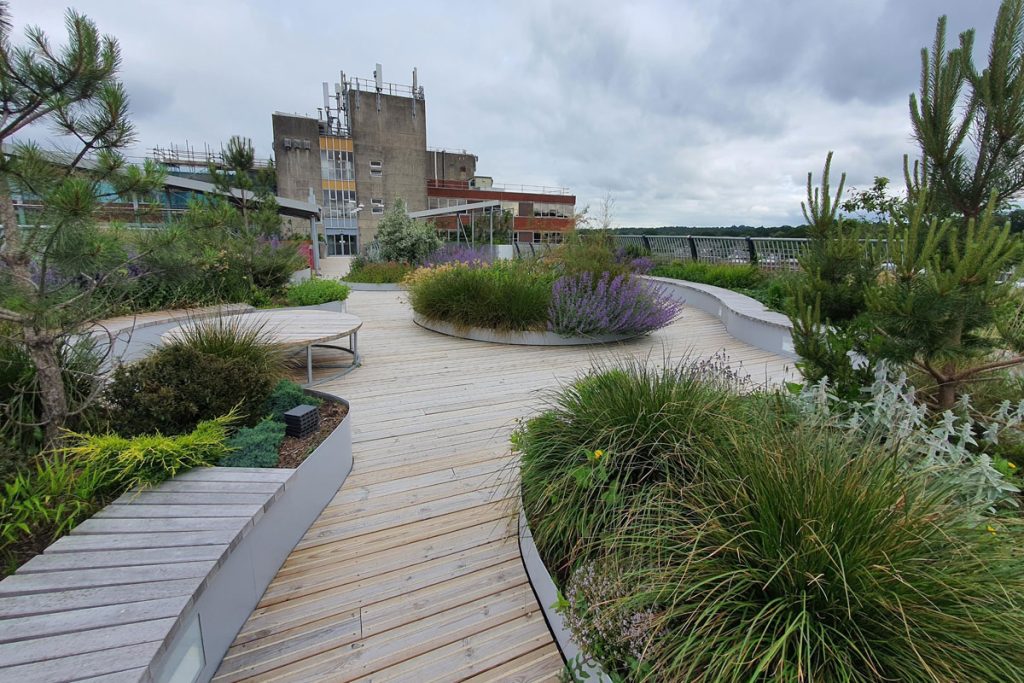 WEC-roof-garden-image2